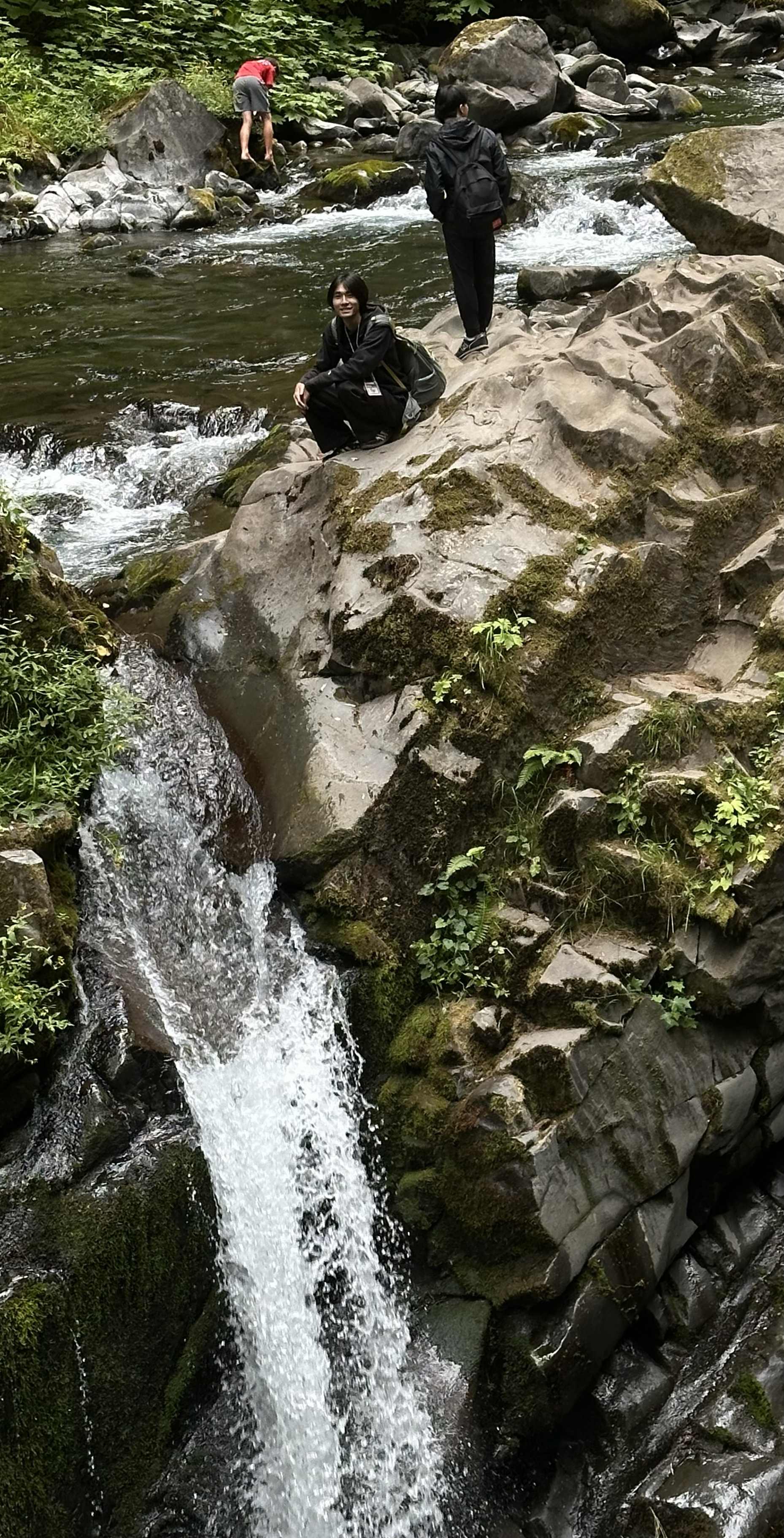 Sol Duc Falls